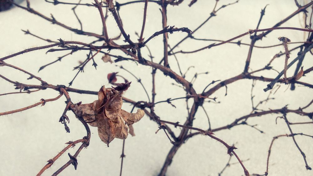 Photograph by Дарья Богославская