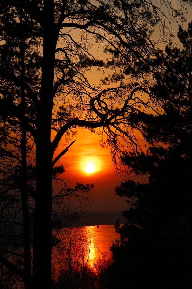 Photograph by Дарья Торопова