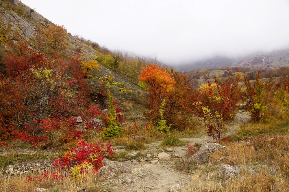 Photograph by косяк