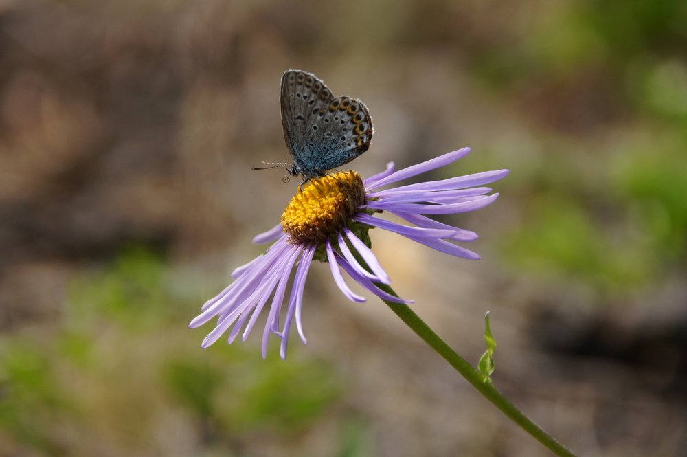 Photograph by косяк