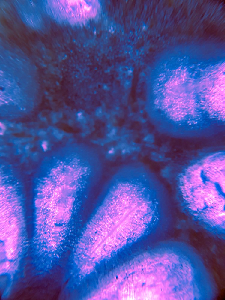 Photograph by Людмила Аксенова