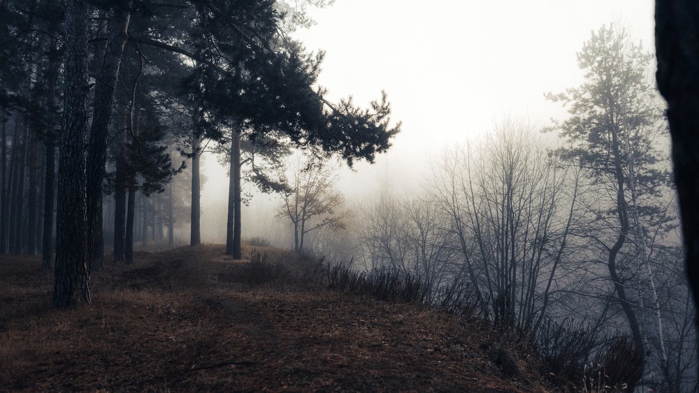 Фотография автора Даниил Мигунов