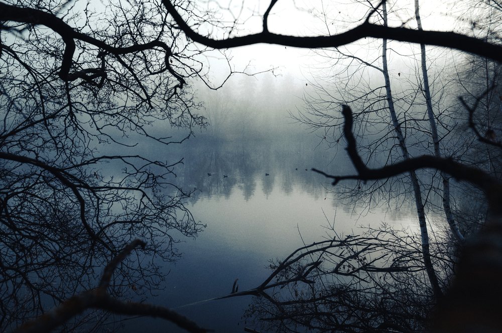 Фотография автора Даниил Мигунов