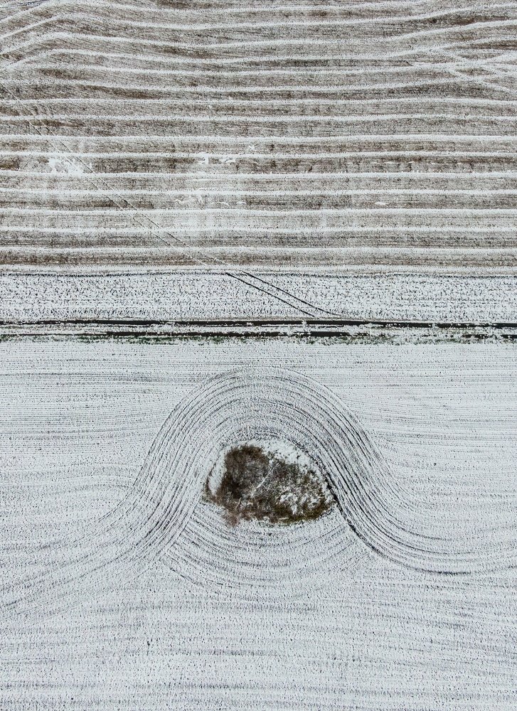 Фотография автора Андрей Логвинович