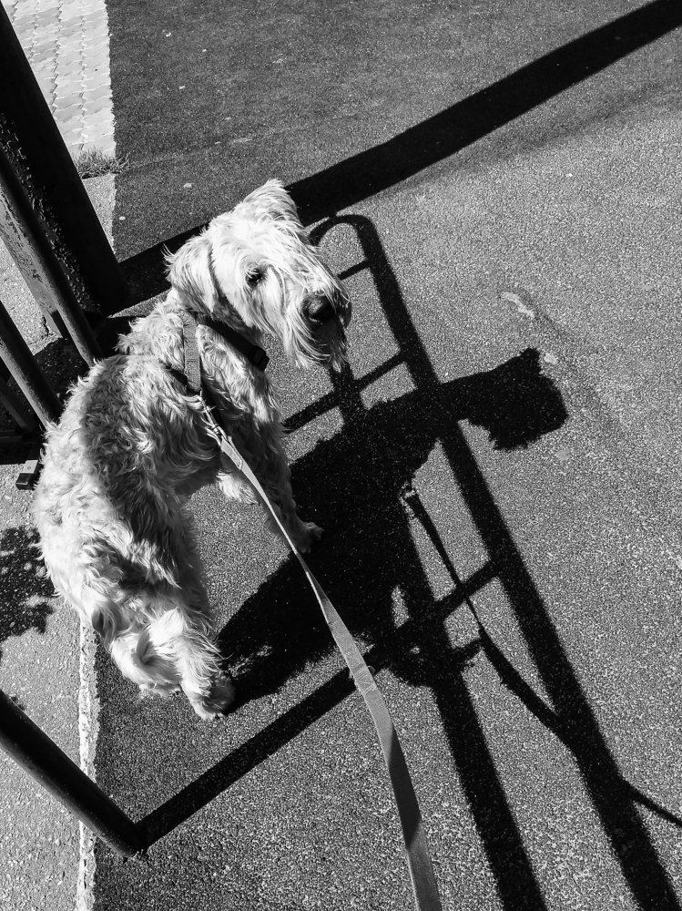 Photograph by Марина