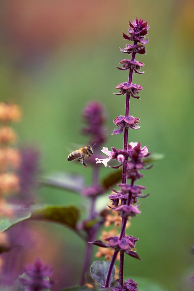 Photograph by Александр Замятин