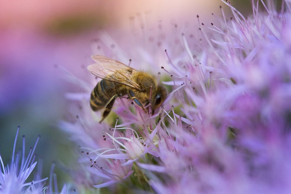 Photograph by Александр Замятин