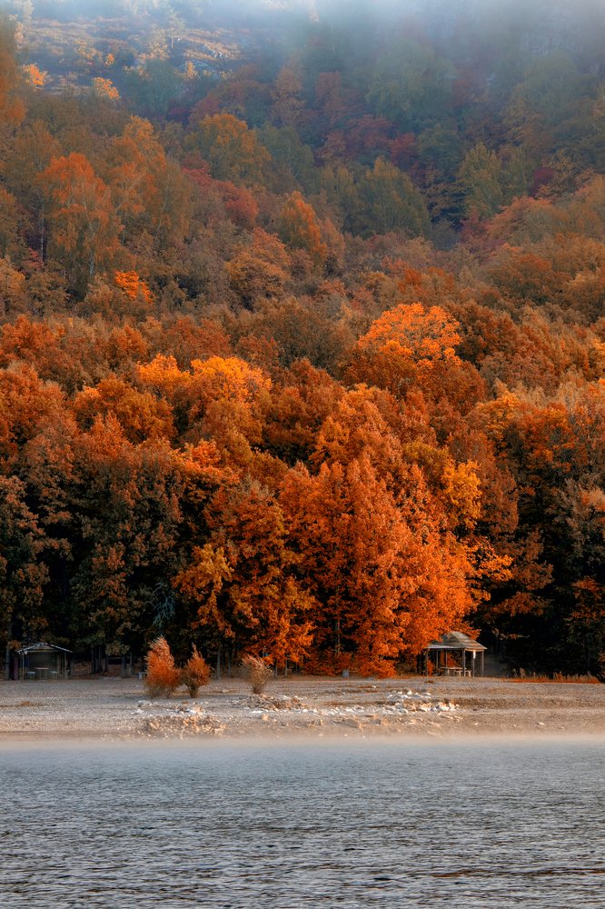 Photograph by Валерий Шорохов