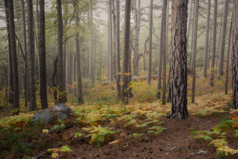 Photograph by Alexander Tsukanov