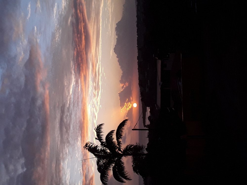 Photo #5191820