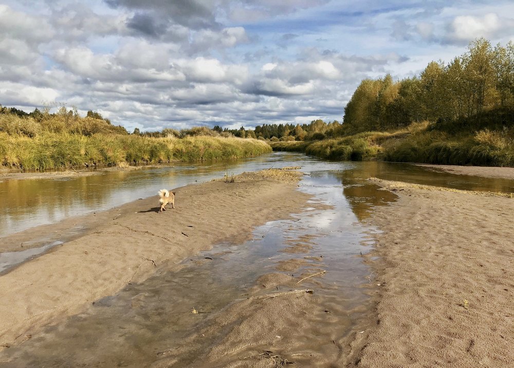 Photograph by Kuzmichev Alexey