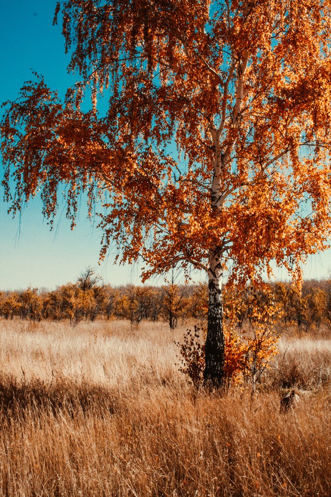 Photograph by Влад Богаткин