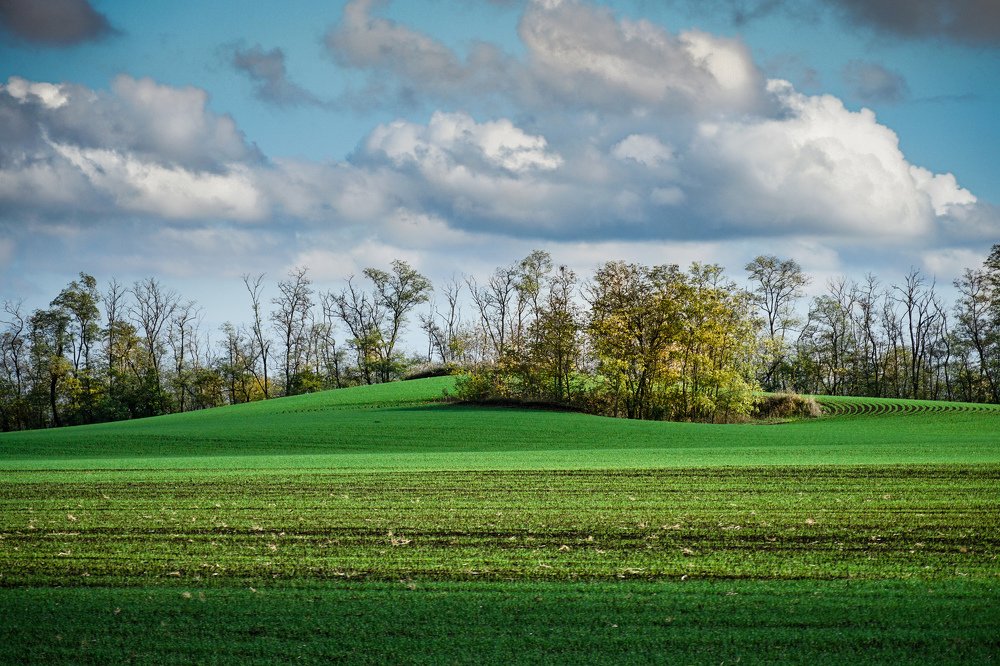 Изумруды Кубани