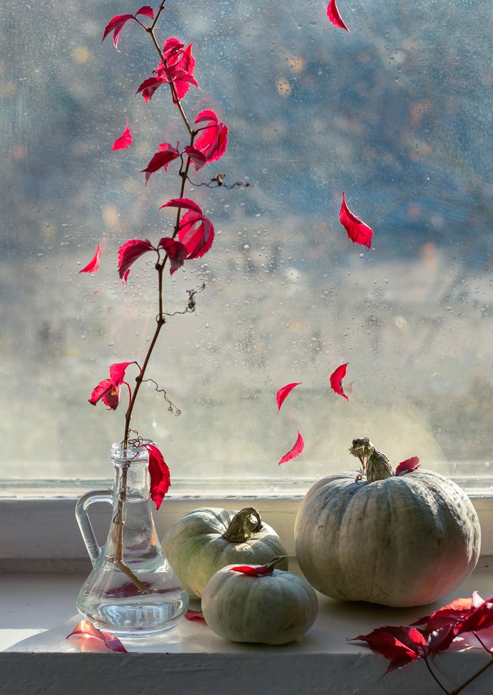 Photograph by Светлана Гок