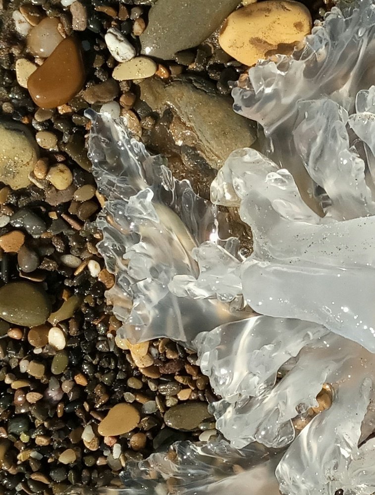 Photograph by Светлана Терехова