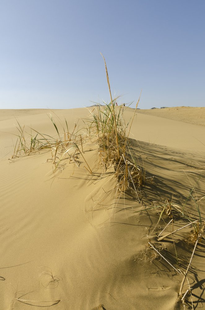 Photograph by Александр Щербаков