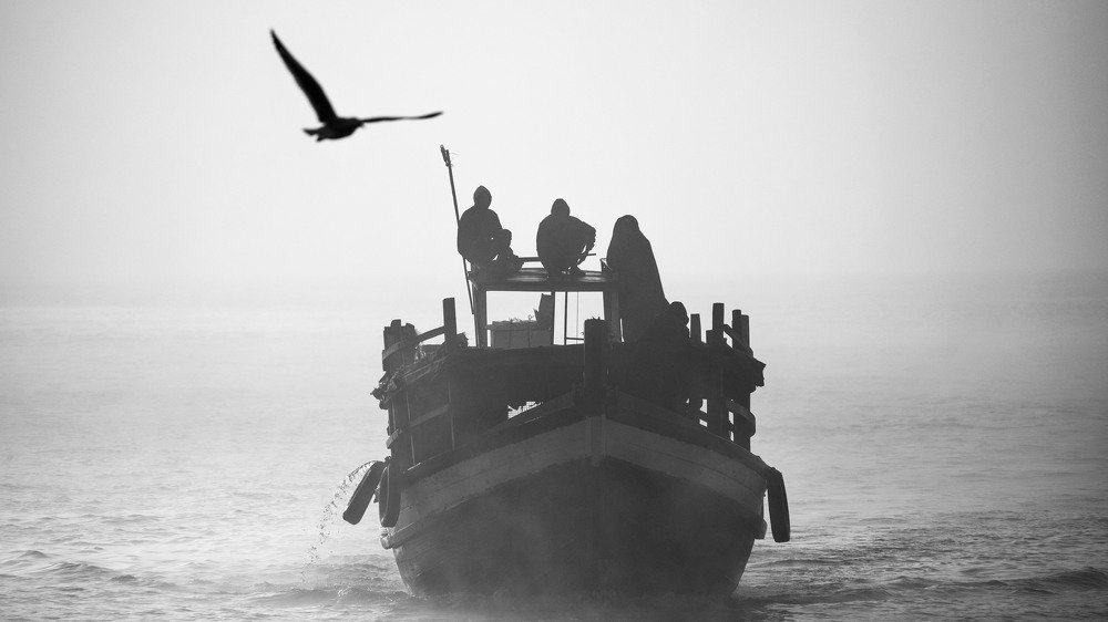 Those how enjoy in the sea