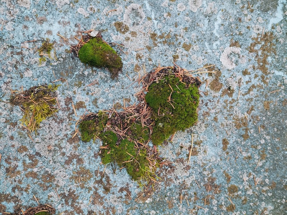 Photograph by Ксения Лысенкова