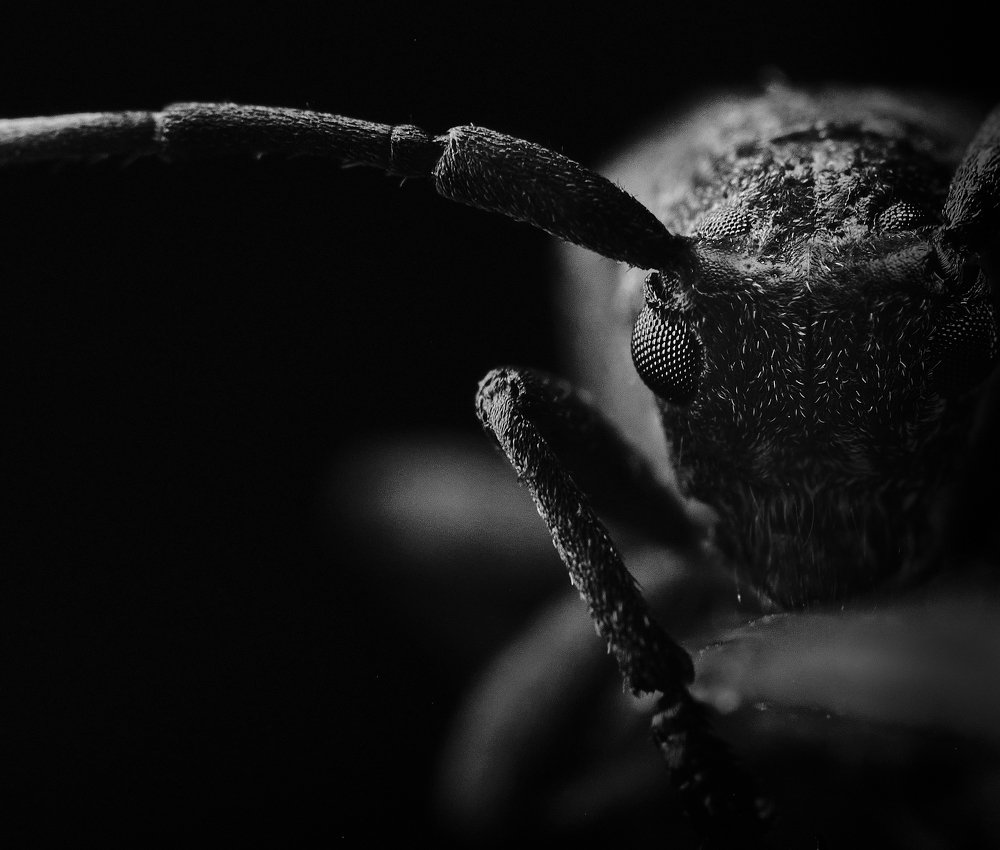 Фотография автора John Bernard Triumfante