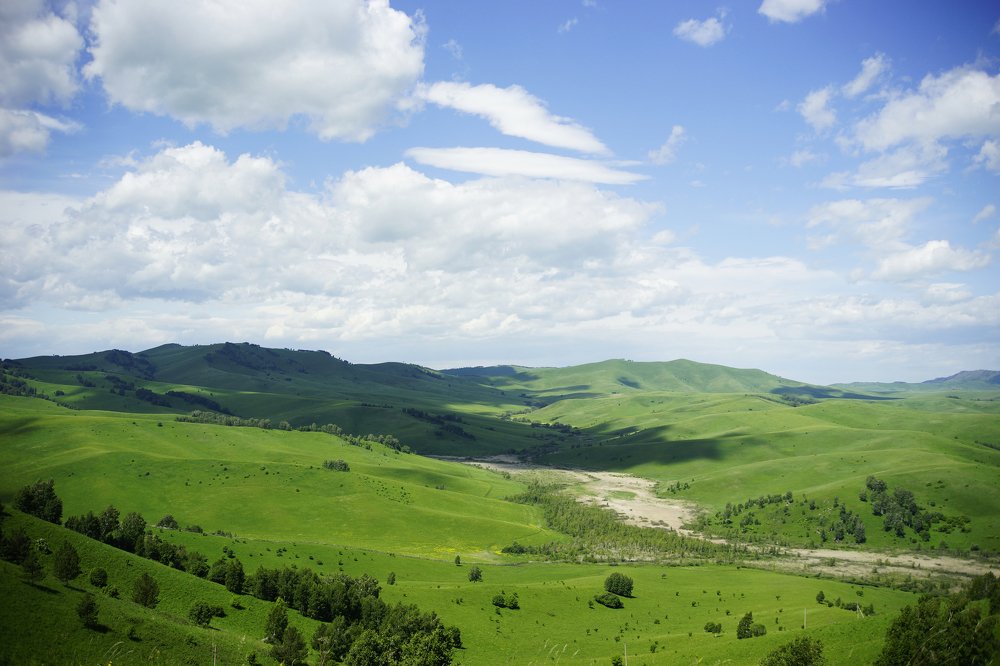 Фотография автора Надежда Думина