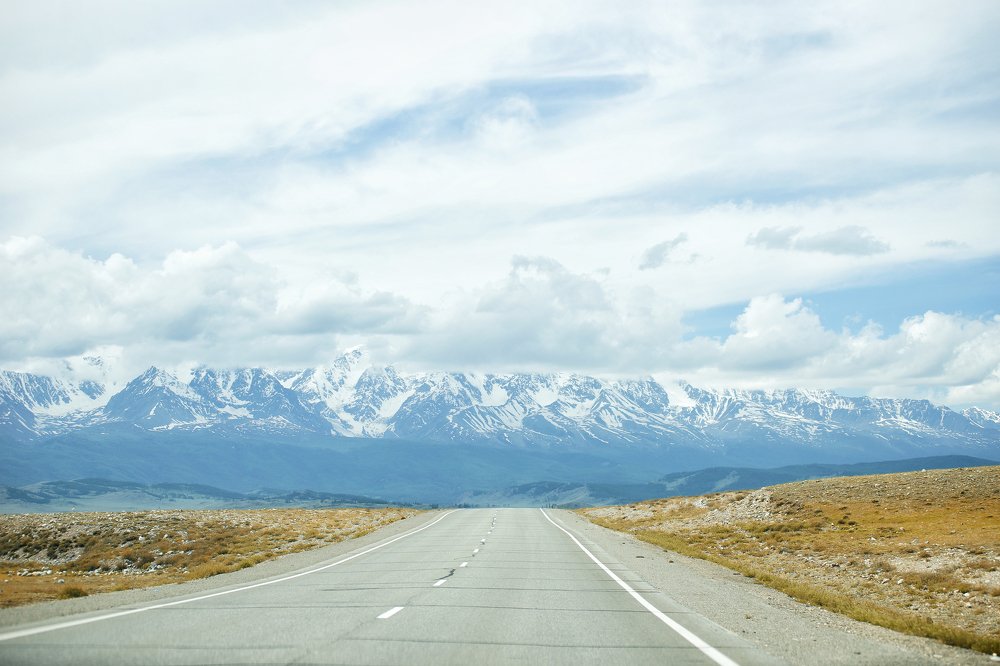 Фотография автора Надежда Думина