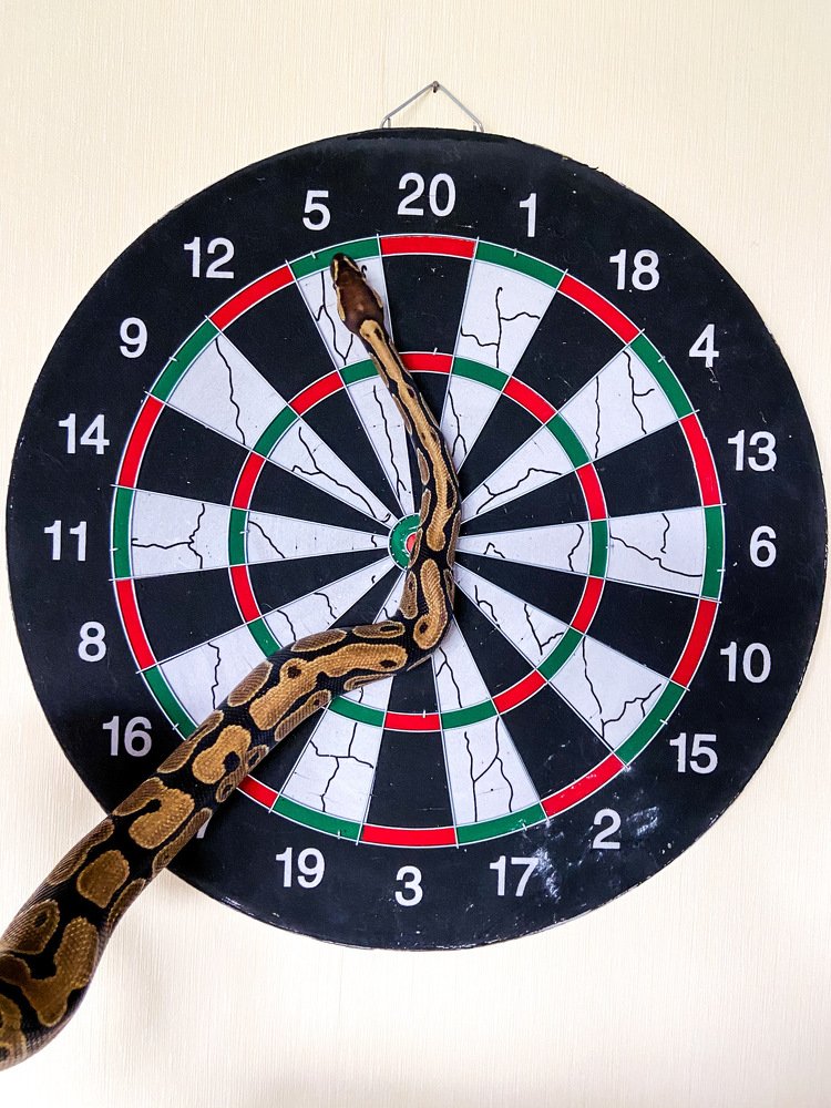 Always hits the mark