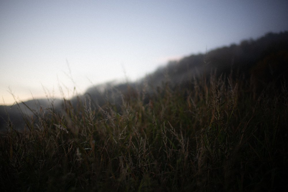 Photograph by Nicolas