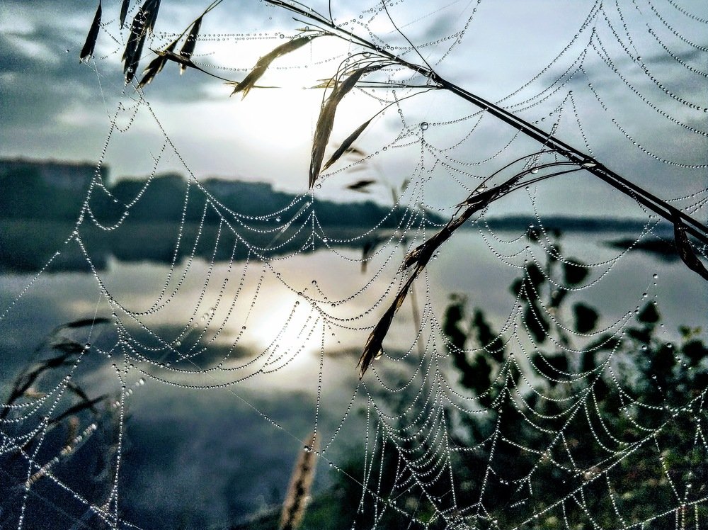 Photograph by 