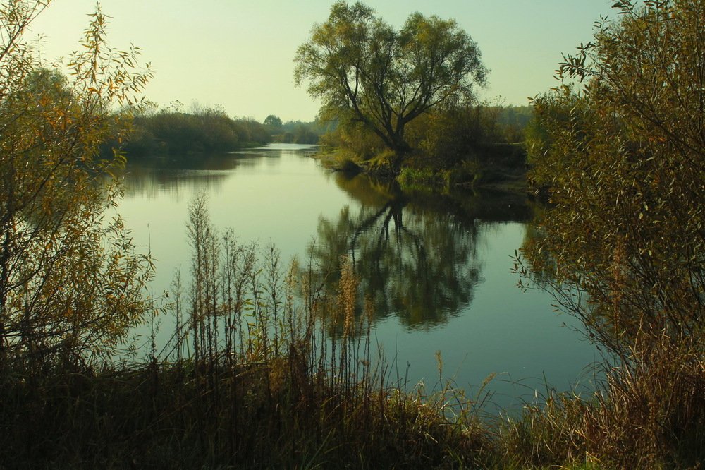 Утренняя тишина