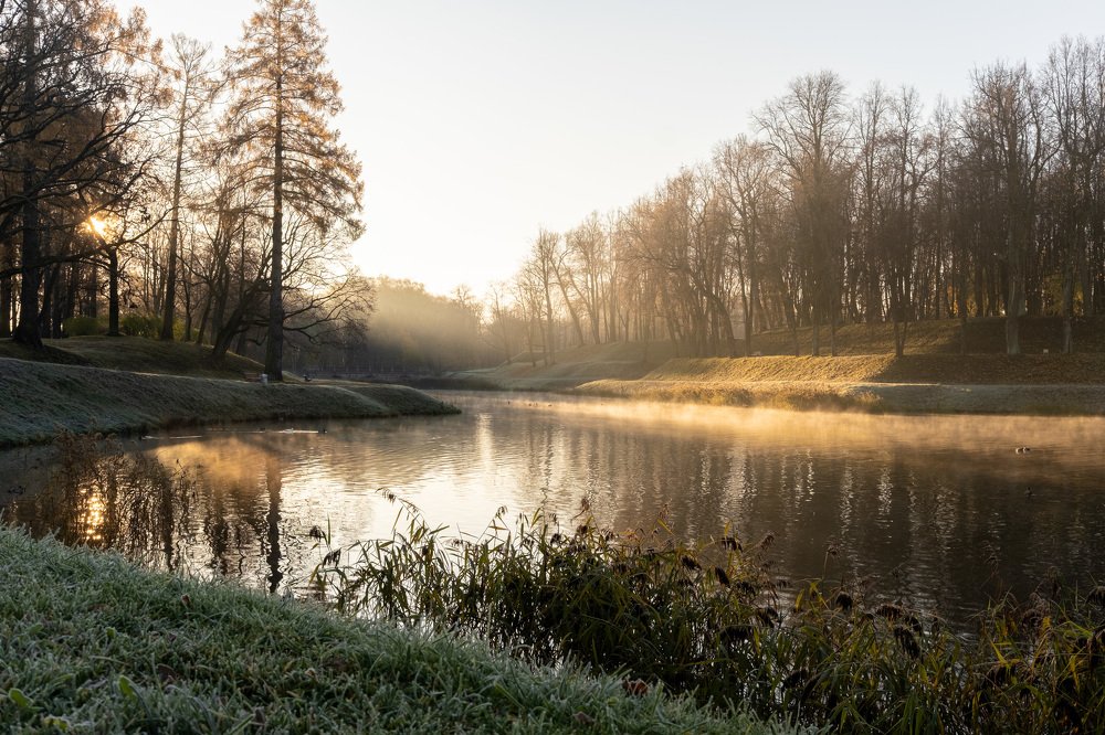 Photograph by Антонина Шкарпетина