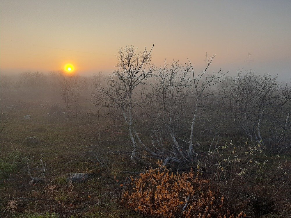 Photograph by Андрей Павлидис