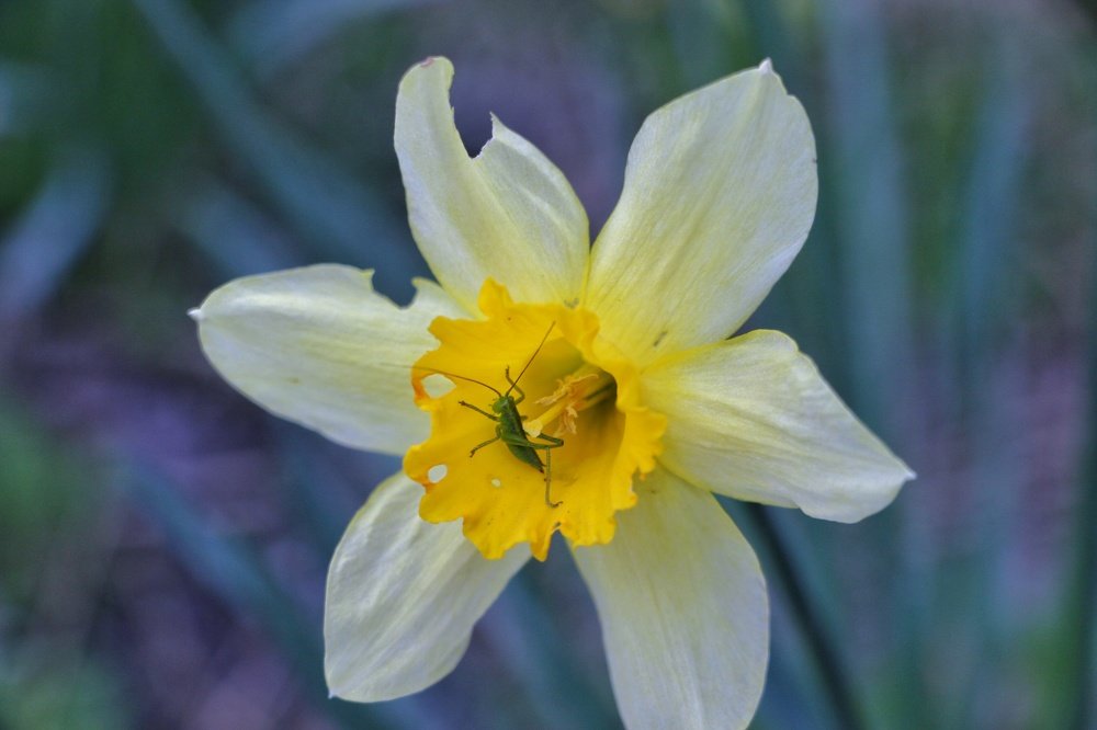 Photograph by Shafeeque Alam