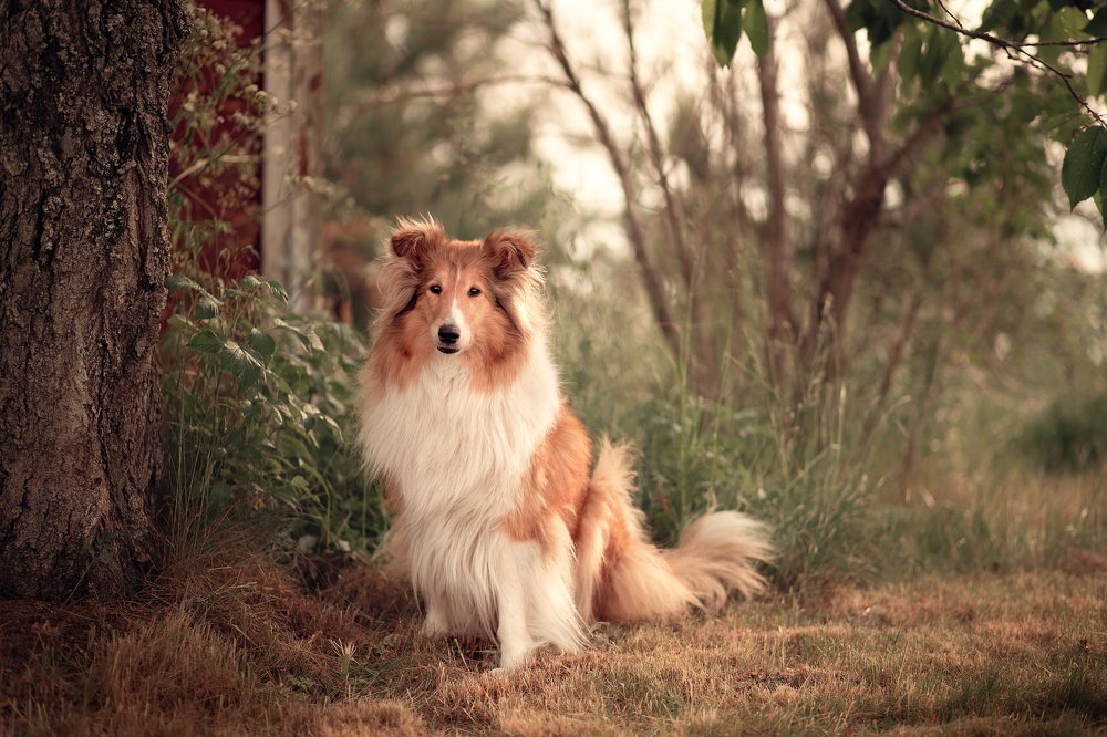 Photograph by Alisa Borodin