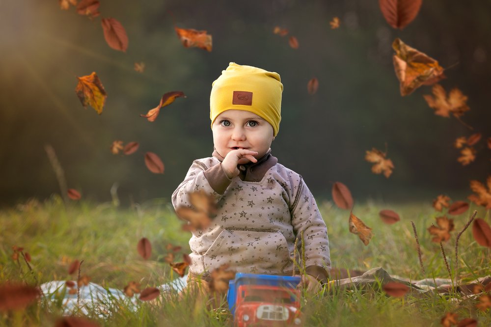 Фотография автора Irena Rihova