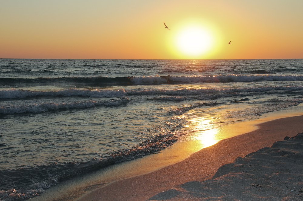 Лето, море, солнце...