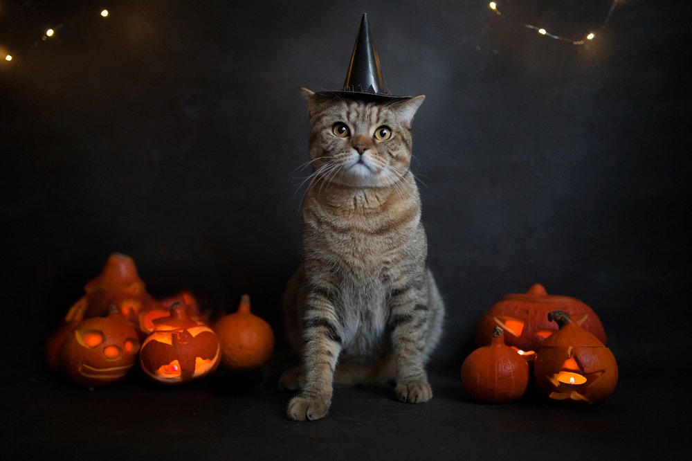 Photograph by Алена Федосова