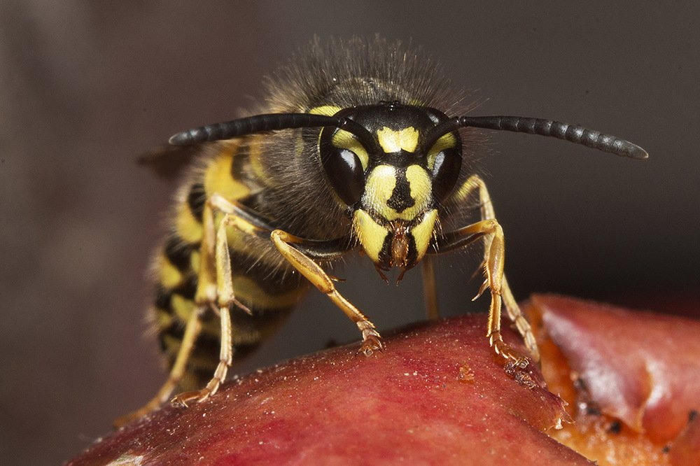 Фотография автора Марина Кулакова
