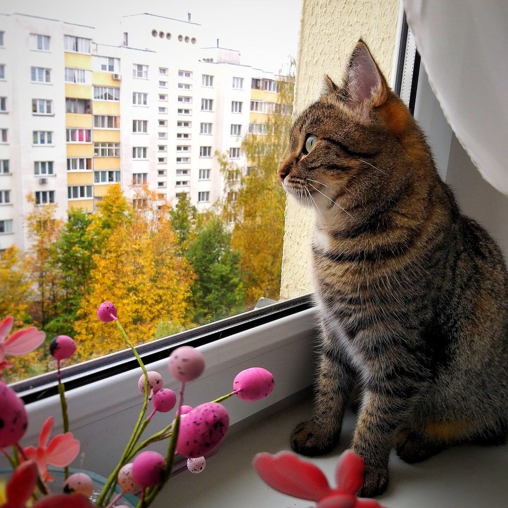 Photograph by Ольга Позняк