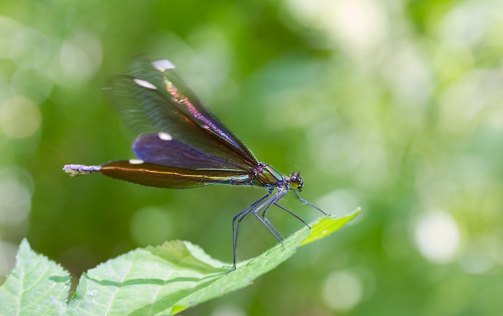 Photograph by Евгений Паршуков