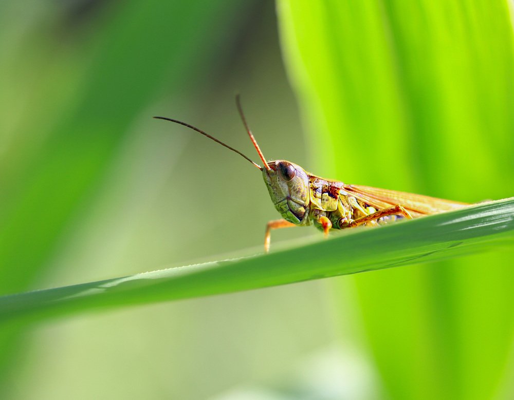 Photograph by Евгений Паршуков