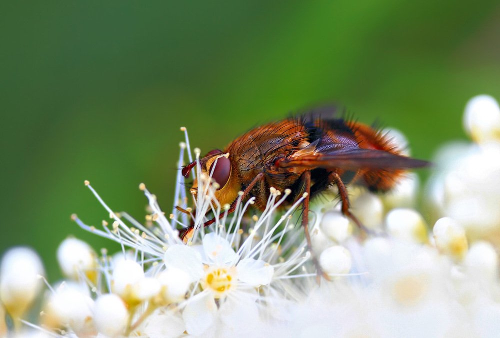 Photograph by Евгений Паршуков