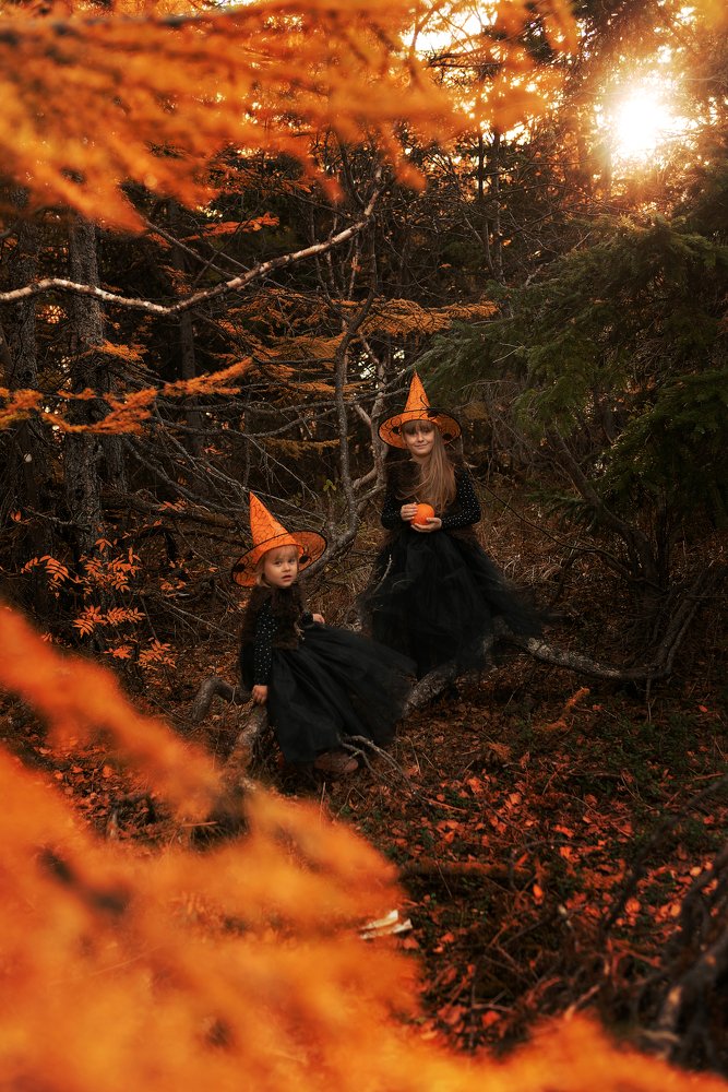 Photograph by Анна Ким