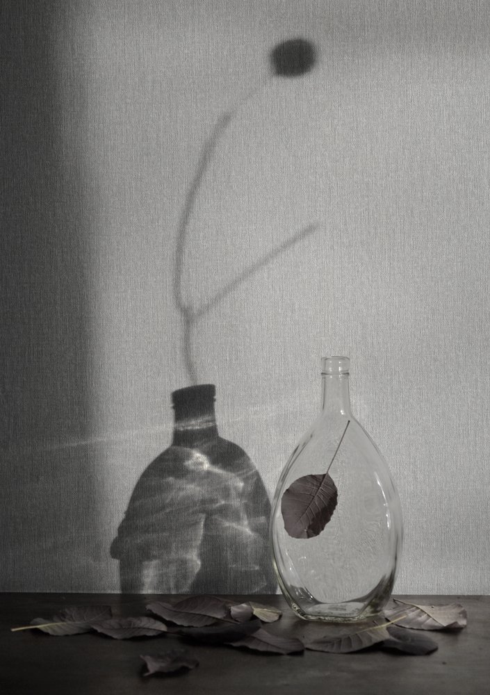 Photograph by Светлана Гок