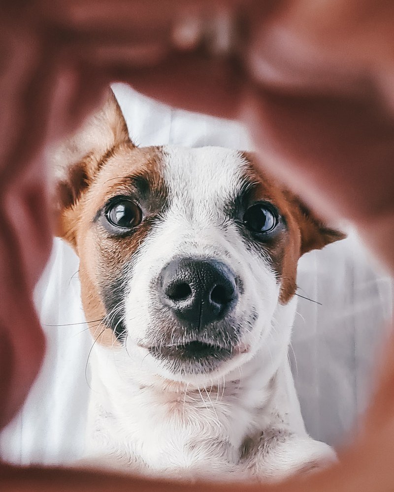 Photograph by Юлия Захарова