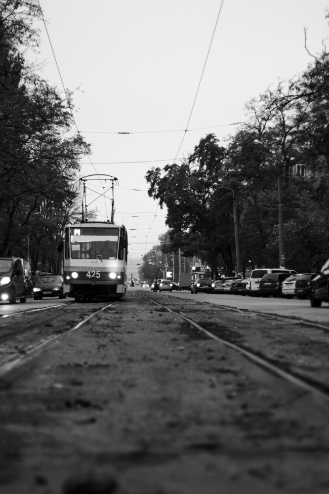 Фотография автора Алексей Гальчинский