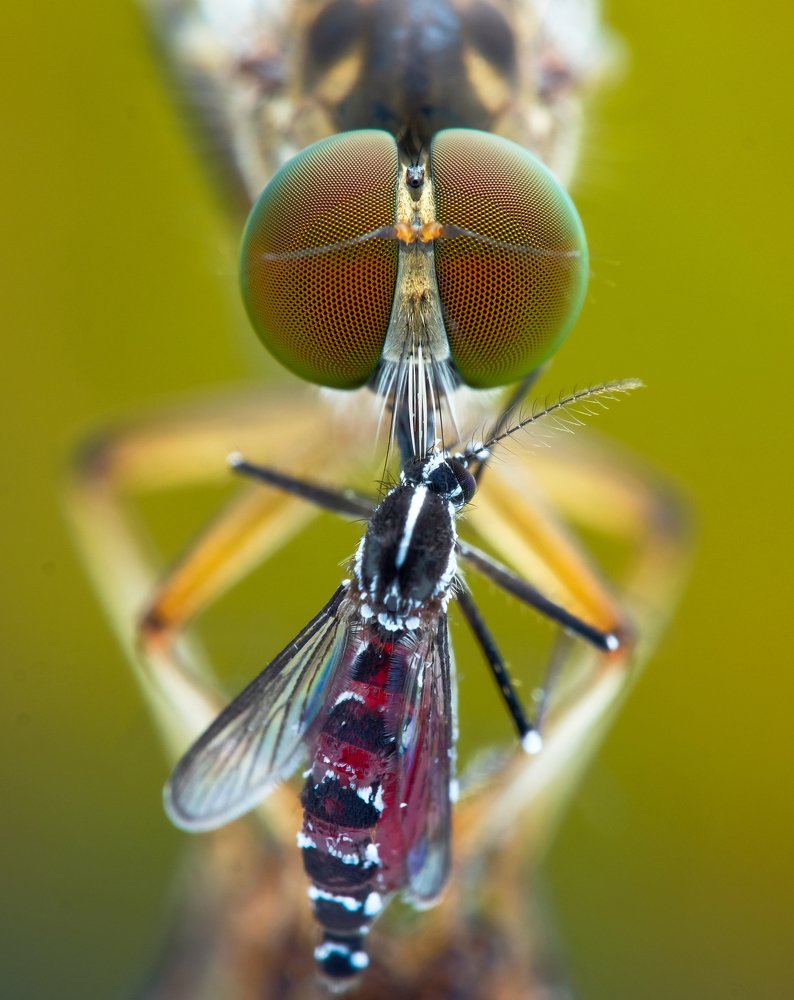 Photograph by Chuah Christopher