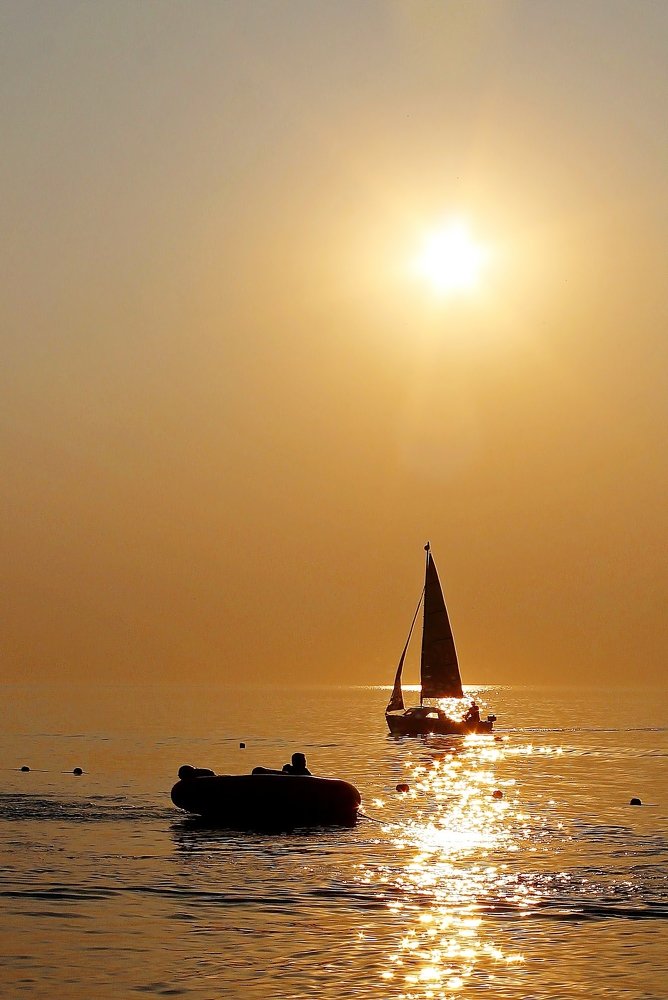 Photograph by Александр Велигура