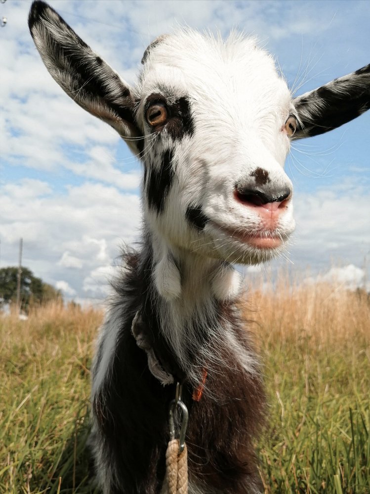 Photograph by Марина