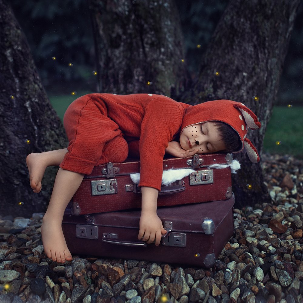 sleeping in the magic forest