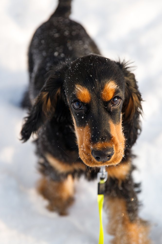 Фотография автора Гудкова Светлана